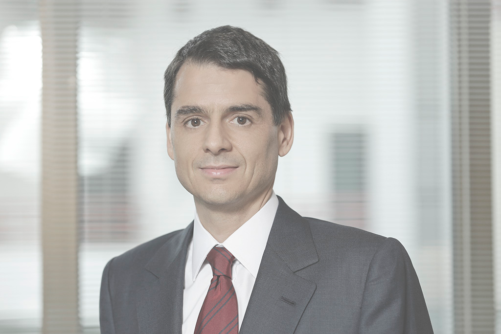 Estêvão Mallet, Lawyer